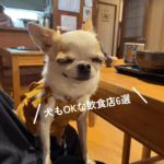 駒沢ドッグフレンドリー！＜後編＞こまイヌ✖️犬もOKな飲食店6選。愛犬とお気に入りのあのお店へ。