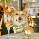 【駒沢ドッグフレンドリー11選】愛犬と通いたい！こまイヌたちの行きつけカフェ＜前編＞