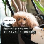ワンちゃんと一緒に食事も珈琲も。駒沢パーククォーターのドッグフレンドリー店舗をご紹介！限定メニューや特別サービスも！