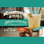 【熱中症対策】生姜成分2倍で夏を乗りきる！駒沢「BROOKLYN RIBBON FRIESーブルックリンリボンフライ」の濃厚ジンジャーエール