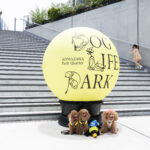 駒沢パーククォーターでドッグイベント開催！ドッグライフパーク【2026.10.10sat〜12mon】