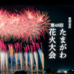 【第48回世田谷区たまがわ花火大会2026】10月3日開催！見どころ・交通規制・穴場スポットまで徹底解説