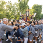 【八雲氷川神社 令和8年度 例大祭】9月19日（土）・20日（日）開催。地元５つの商店会が合同で繰り広げる「都立連合渡御」は大迫力！